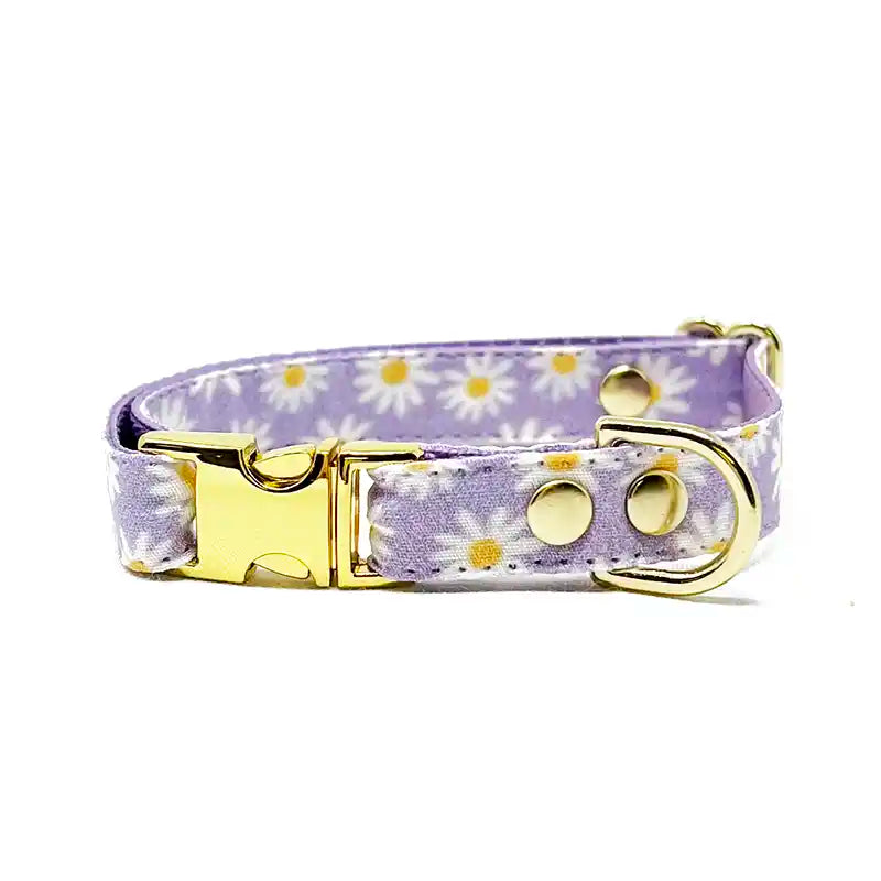 daisies small dog collar in lavender