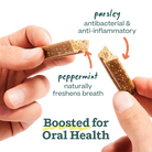 Bite n' Brush Dental Refills info