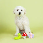 3 toys with dog