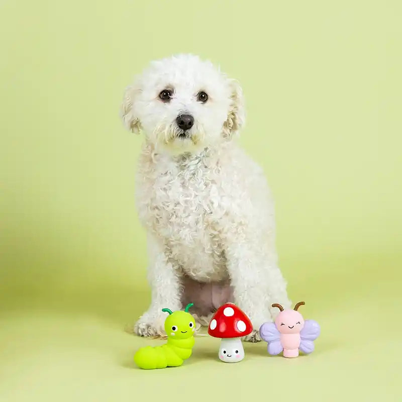 3 toys with dog