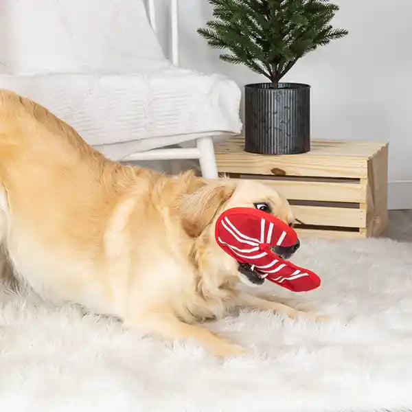 dog playing with Durable Candy Cane Dog Toy