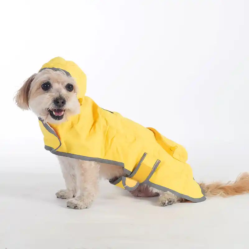 dog wearing yellow pendleton dog raincoat
