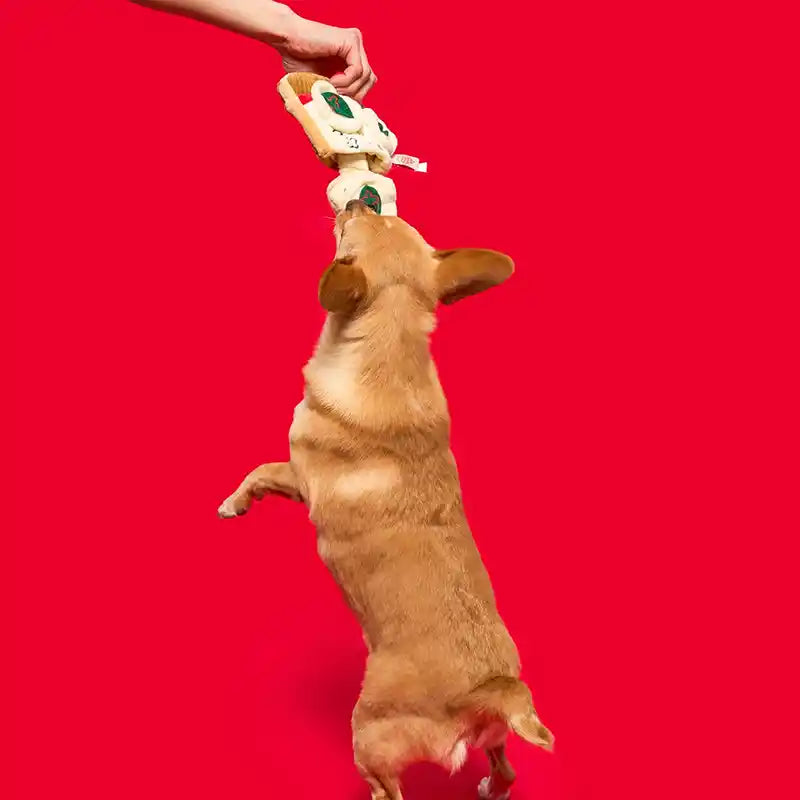 dog biting pizza slice toy