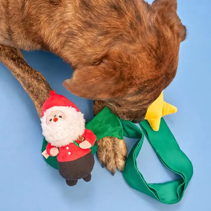 Dog playing with Santa Paws Nosework Dog Toy