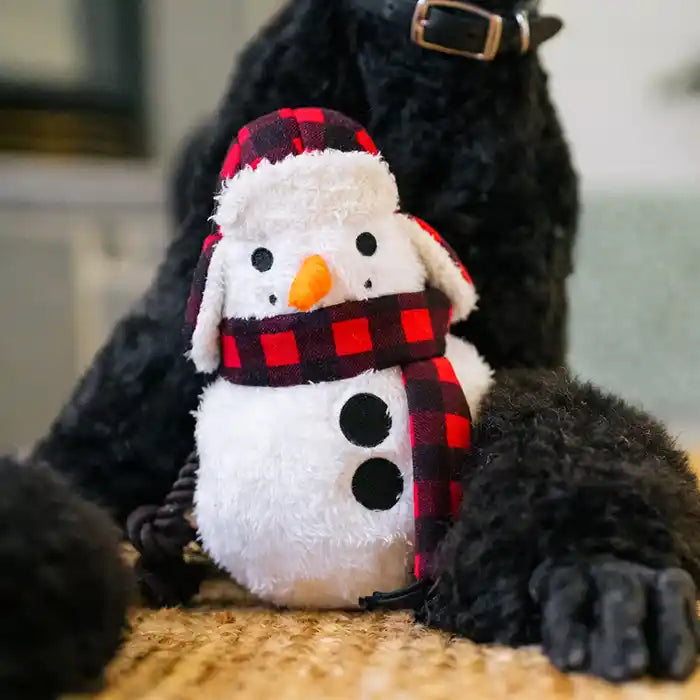 dog holding snowman dog toy