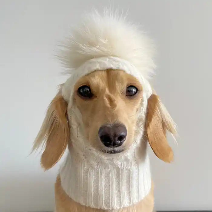 cashmere pom pom dog hat dachsund