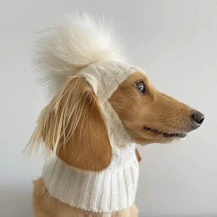 cashmere pom pom dog hat side view