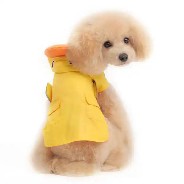 back view of duck raincoat on dog