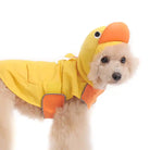 dog wearing duck raincoat