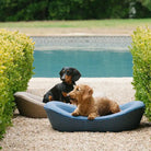 Two dogs on enid blythe checkered pet beds by a poolside.