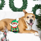 Dog lying on a couch with a durable elf toy, surrounded by festive decorations.