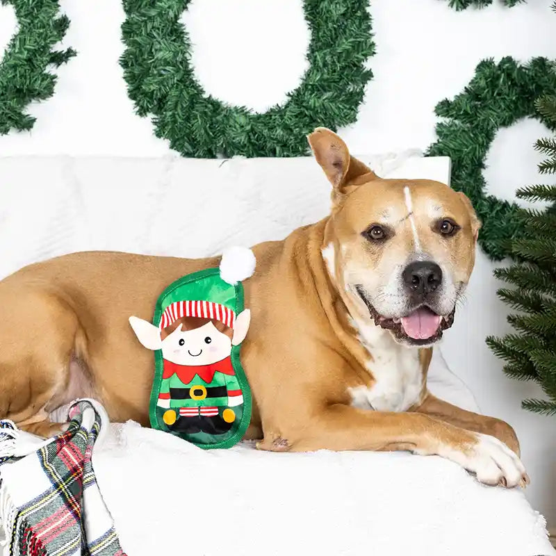 Dog lying on a couch with a durable elf toy, surrounded by festive decorations.