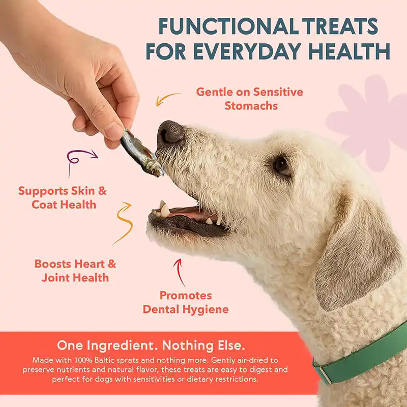 Dog being given a dried sprat treat with health benefits text on a pink background