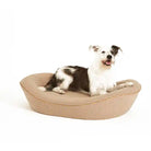 Dog lying on Tan Brown Enid Blythe Bed