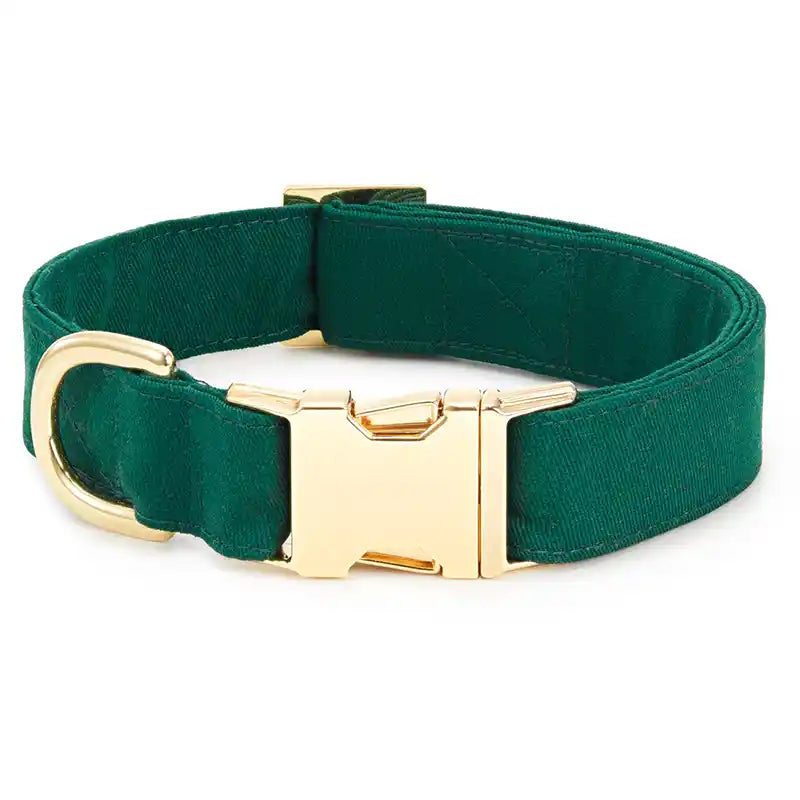 Green dog collar with a gold buckle on a white background