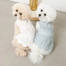 Tiered Eyelet Dog Dress with Cooling Effect styled 