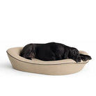 Black dog lying in a beige textured pet bed on a white background