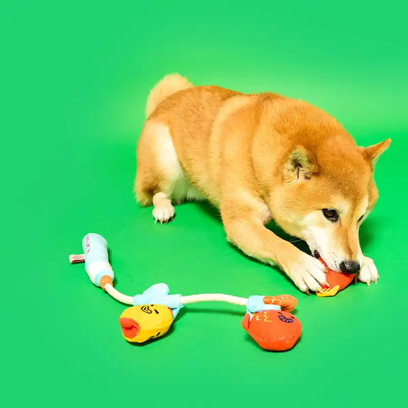 dog eating fish toy