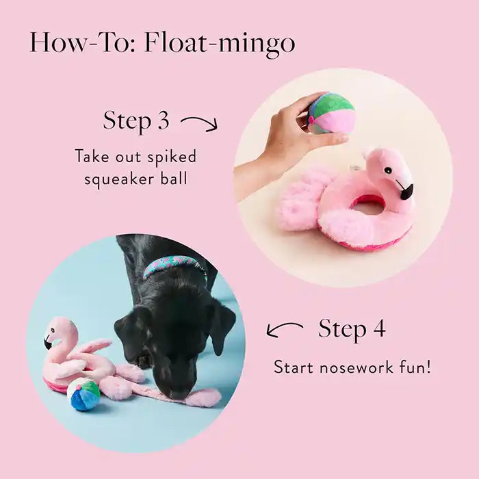 part 2 of how to use float-mingo