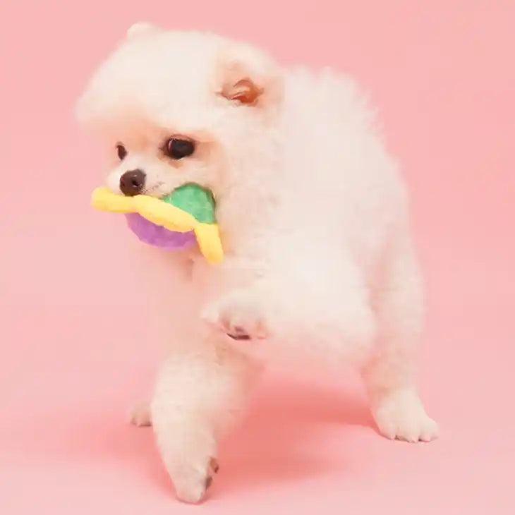 flower ball fetch dog toy pomeranian