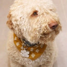 flower id tag styled