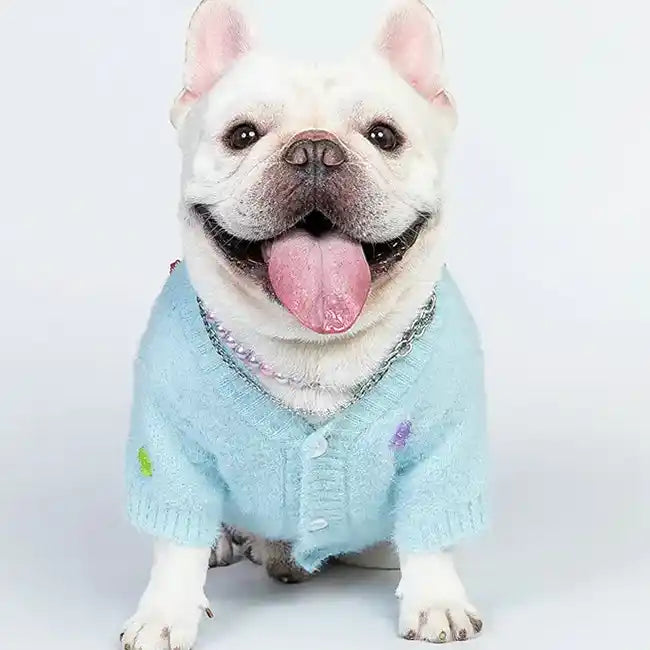 Frenchie wearing Gummy Bear Cardigan Dog Sweater