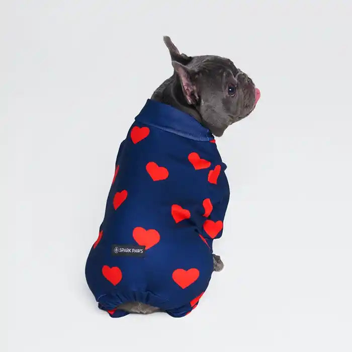 frenchie wearing spark paws heart dog pjs sitting down back side