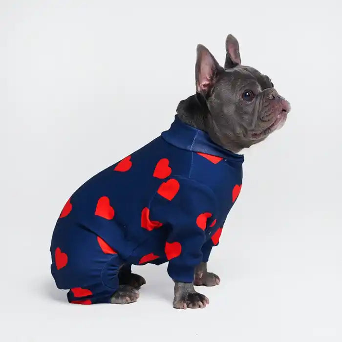 frenchie wearing spark paws heart dog pjs sitting down