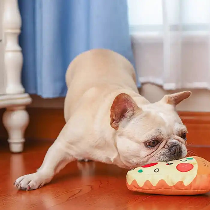 frenchie playing with pizza slice toy