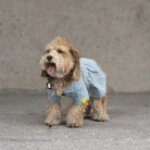 doodle front view fringe denim dog dress 