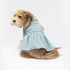 doodle wearing fringe denim dog dress back view