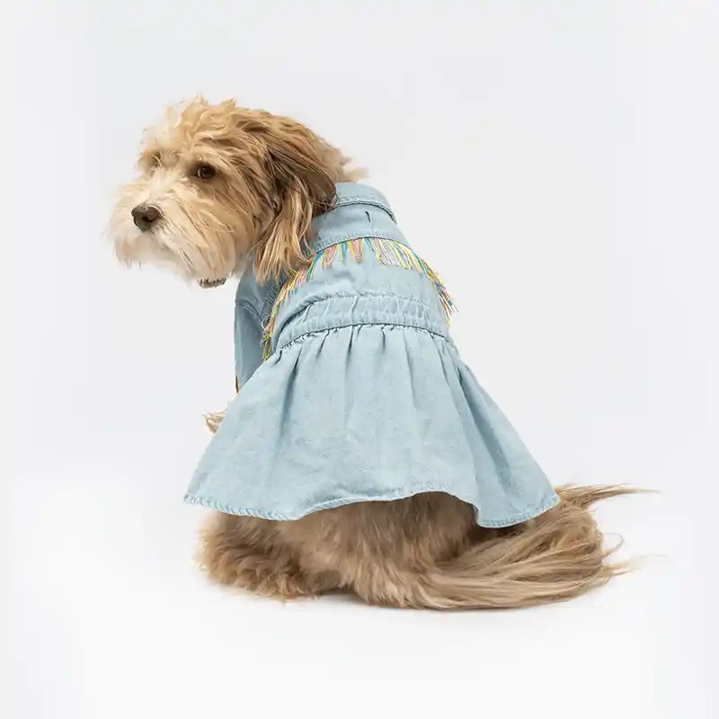 doodle wearing fringe denim dog dress back view