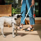 fritz checker dog no-pull harness