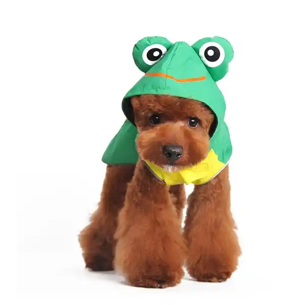frog raincoat styled front