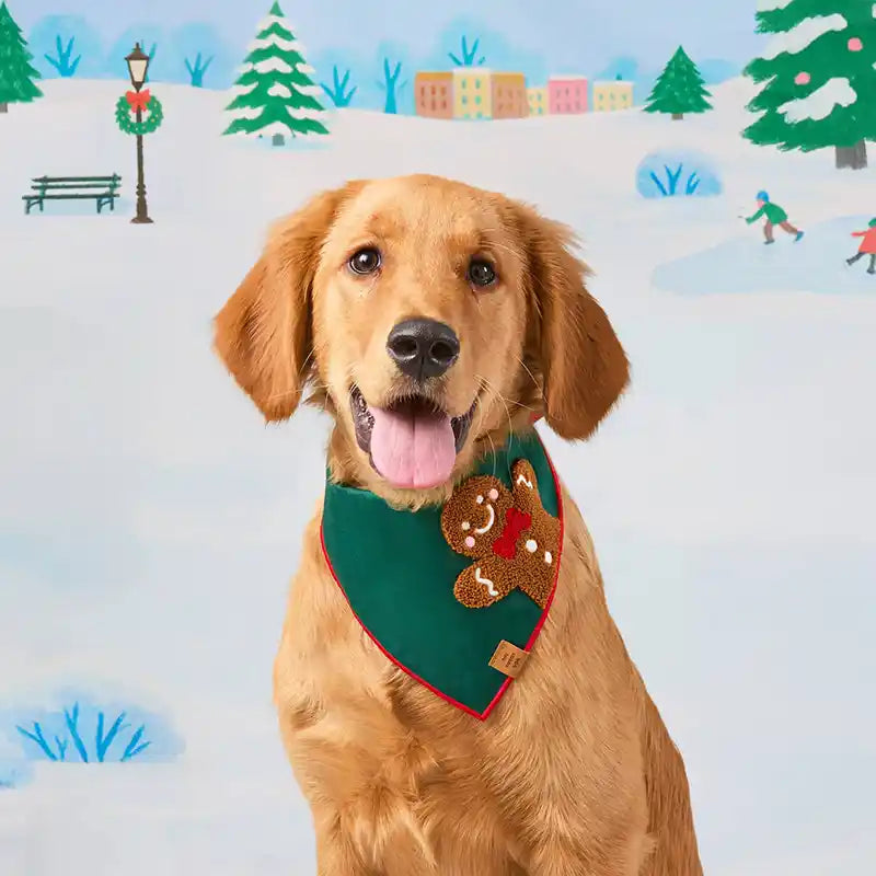 Dog wearing a green bandana with a gingerbread man design against a winter scene background