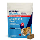 Front view of Vetnique Glandex Anal Gland Health soft chew pouch.