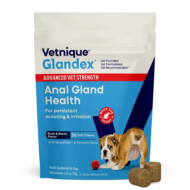 Front view of Vetnique Glandex Anal Gland Health soft chew pouch.
