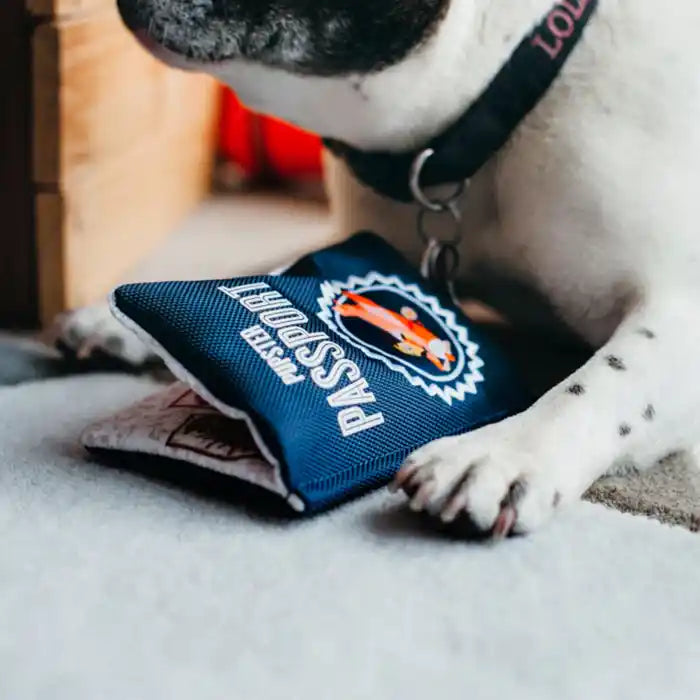 dog with pupster passport doy toy