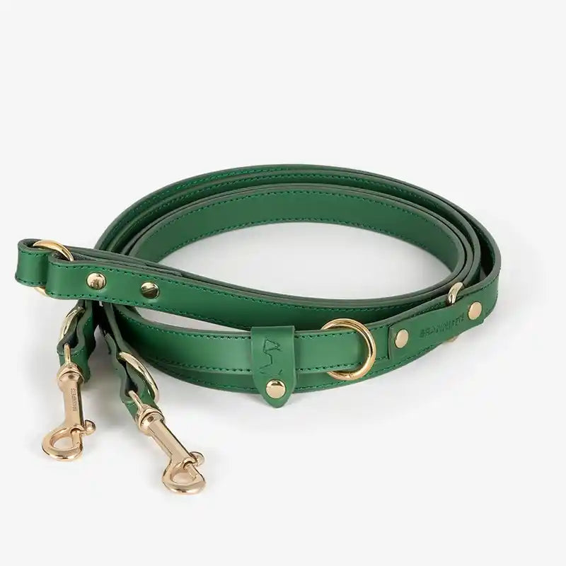 green italian leather leash