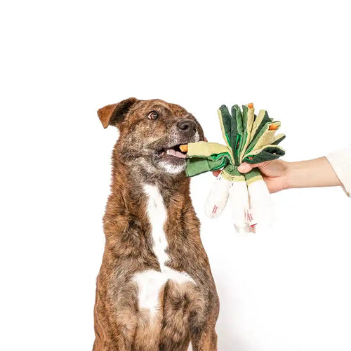 dog with green onions