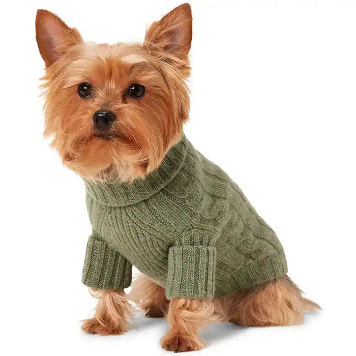 cable knit ralph lauren polo cashmere dog sweater in green lovette heather