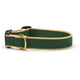 Color Market Dog Collar (Customizable)
