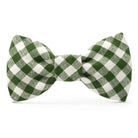 green gingham dog bowtie