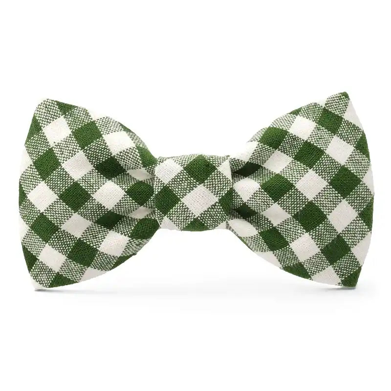 green gingham dog bowtie