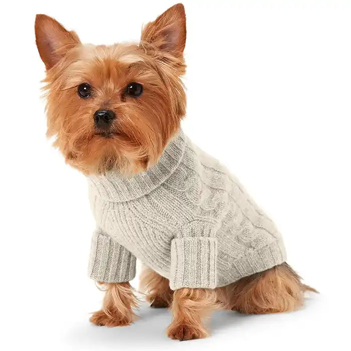 cable knit ralph lauren polo cashmere dog sweater in grey