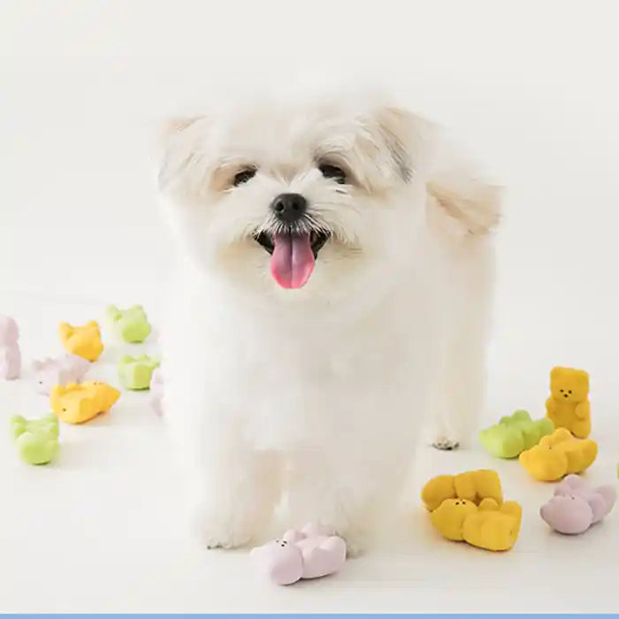 jelly bears squeaky latex dog toys styled with maltese