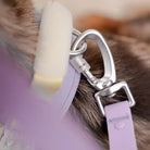 closeup of jelly harness leash attachment