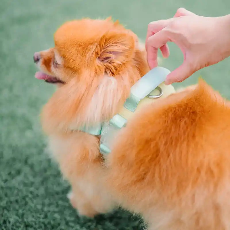 showing handle of green jelly harness