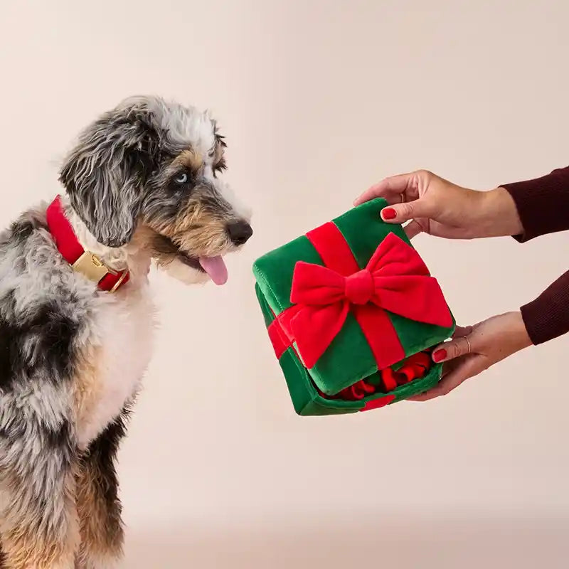dog receiving snuffle present toy