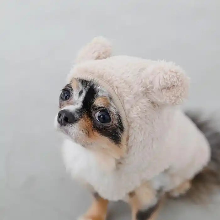 chihuahua wearing moncheri bear fleece hoodie angled